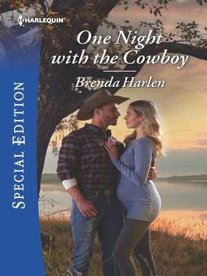 cover image of One Night with the Cowboy
